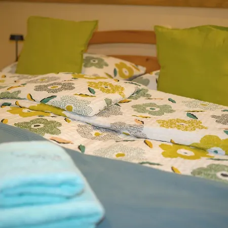 Draga Guest house 2*
